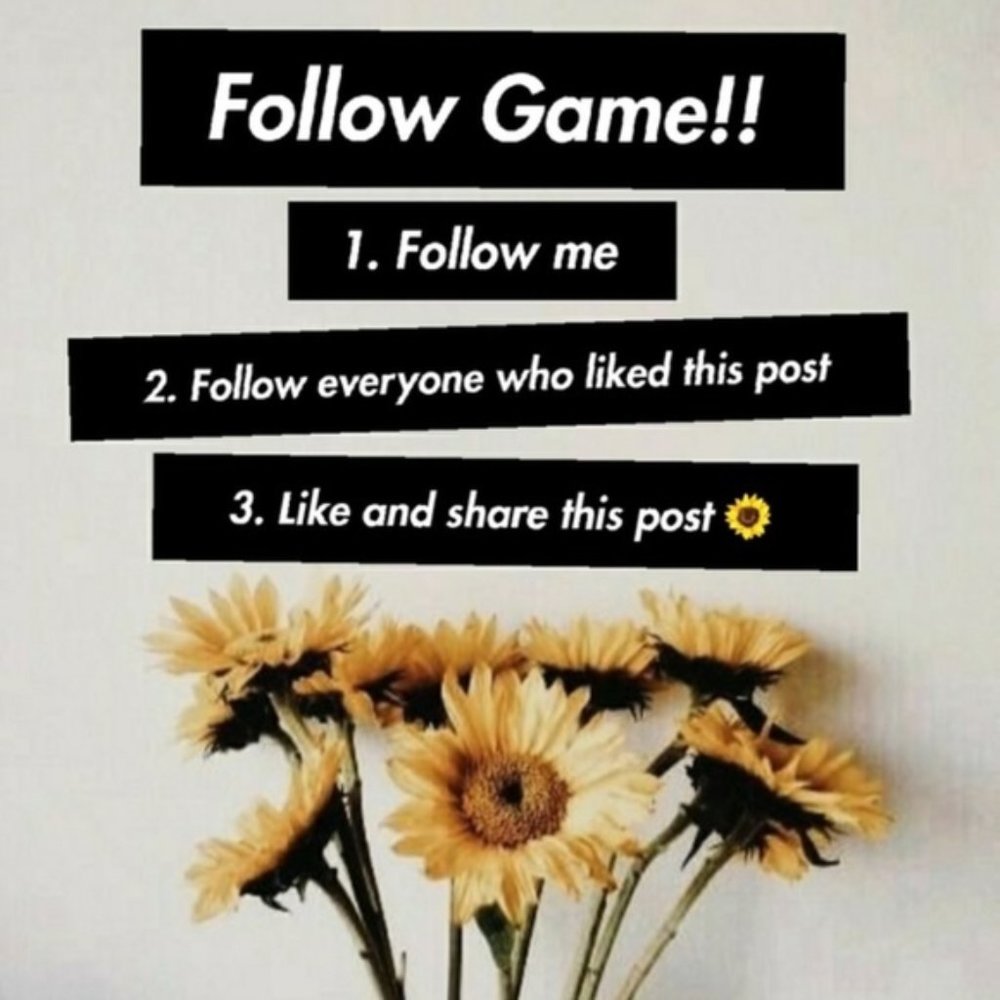 Follow game! Follow everyone who likes this post!
